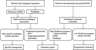 Management of Ineffective Esophageal Hypomotility